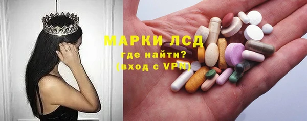 гашик Алексин