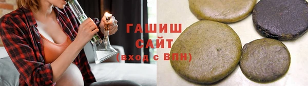 гашик Алексин