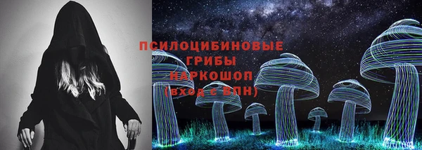 гашик Алексин