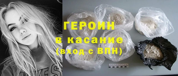 гашик Алексин