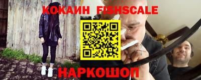 шишки Славгород