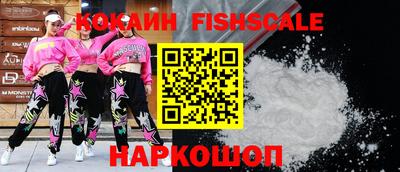 шишки Славгород