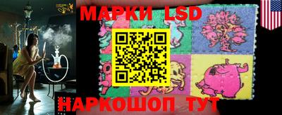 шишки Славгород