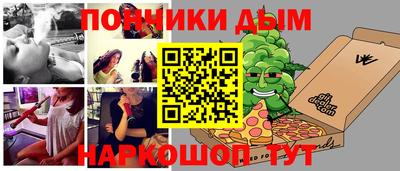 шишки Славгород