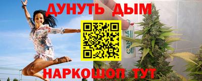 шишки Славгород