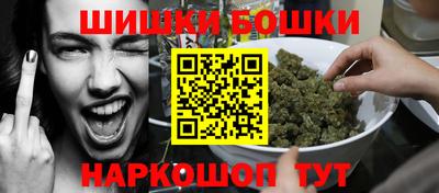 винт Сланцы
