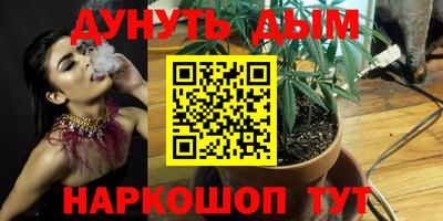 винт Сланцы