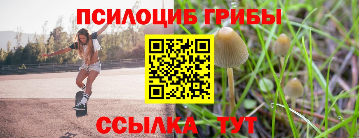 Старая Русса  Псилоцибиновые грибы GOLDEN TEACHER  Вход с VPN 