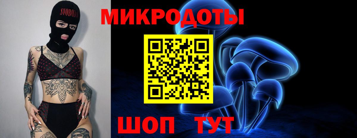 Галлюциногенные грибы Cubensis Старая Русса